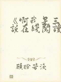 《啊我是三》小说在线阅读封面