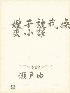 嫂子被我操的好爽小说封面