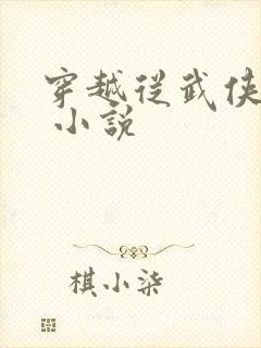 穿越从武侠开始 小说