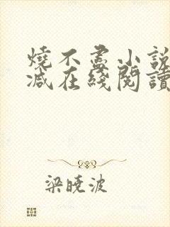 烧不尽小说无删减在线阅读封面