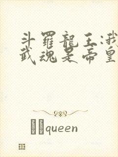 斗罗龙王:我的武魂是帝皇铠甲