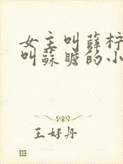 女主叫薛柠男主叫苏瞻的小说