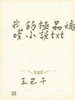 我的极品娇妻许晴小说txt封面