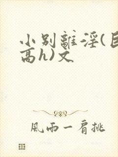 小别离淫(巨肉高h)文