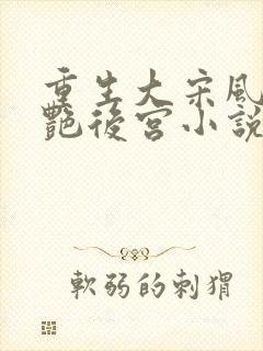 重生大宋风流猎艳后宫小说封面