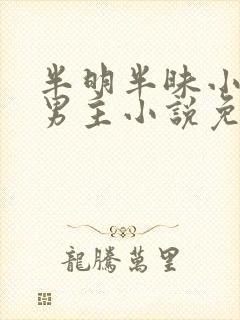 半明半昧小说双男主小说免费阅读封面