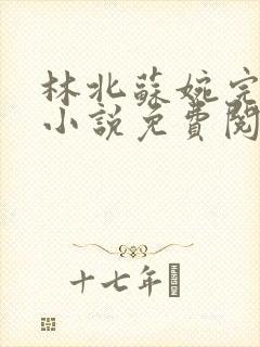 林北苏婉完整版小说免费阅读全文封面