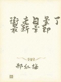 卫老日晕了淑蓉最新章节