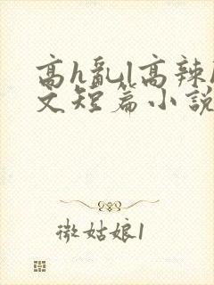 高h乱l高辣h文短篇小说男男