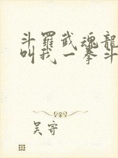 斗罗武魂龙拳请叫我一拳斗罗免费阅读