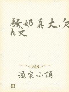 骚奶真大,欠日h文