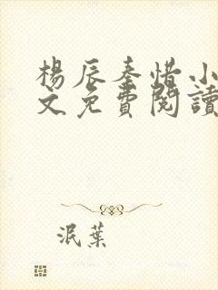 杨辰秦惜小说全文免费阅读笔趣阁