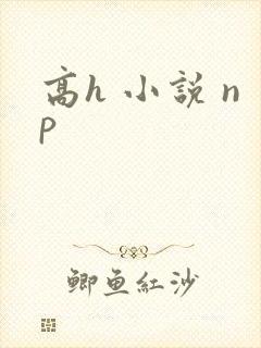 高h 小说 np