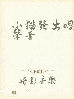 小猫发出嗯哼的声音