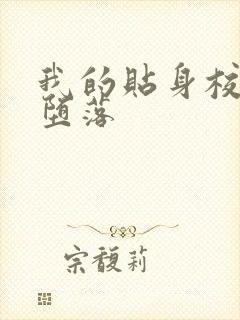 我的贴身校花h堕落封面