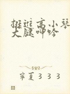 挺进高小琴雪白大腿呻吟封面