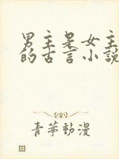 男主是女主夫子的古言小说