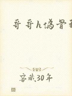 哥哥h伪骨科封面