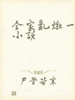 全家乱炖一锅烩小说封面