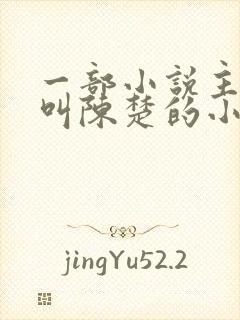 一部小说主人公叫陈楚的小说封面