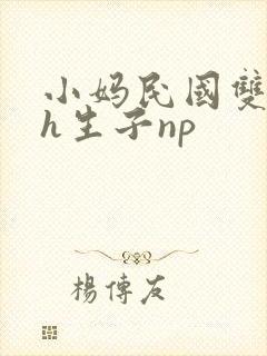 小妈民国双性高h生子np