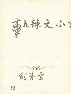 高h辣文小说快穿