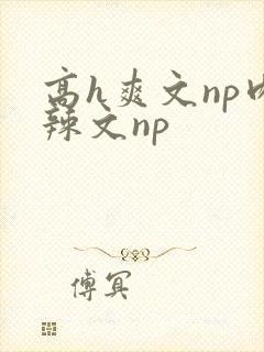 高h爽文np肉辣文np