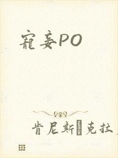 宠妾PO