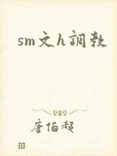 sm文h调教