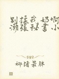 别揉我奶啊嗯高潮张秘书小说