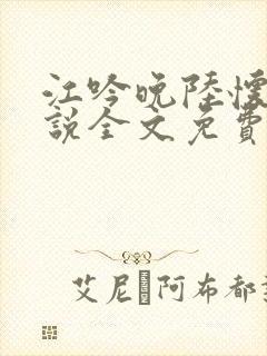 江吟晚陆怀璟小说全文免费阅读全文封面