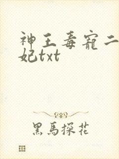 神王毒宠二嫁王妃txt