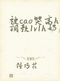 被cao哭高h调教1v1h奶瘾