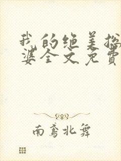 我的绝美总裁老婆全文免费阅读