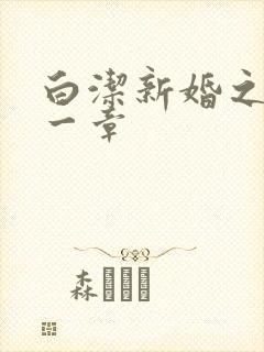 白洁新婚之夜第一章