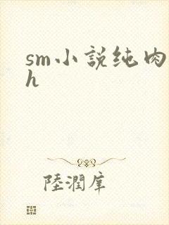 sm小说纯肉高h