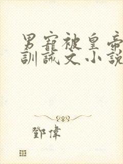 男宠被皇帝挨打训诫文小说