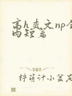 高h爽文np全肉短篇封面