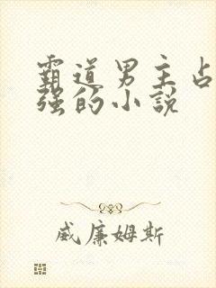 霸道男主占有欲强的小说