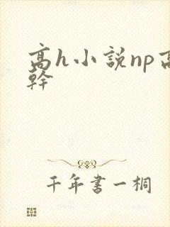高h小说np高干