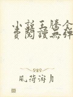 小说王腾全文免费阅读无弹窗