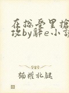 在总受里抢主角攻by辞e小说封面