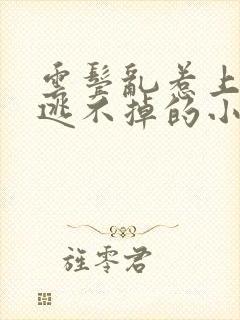 云鬓乱惹上权臣逃不掉的小说封面