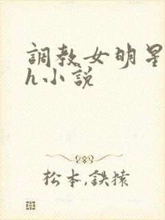 调教女明星初夜h小说封面