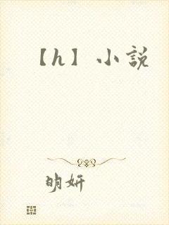 【h】小说