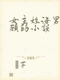 女主姓洛男主姓顾的小说