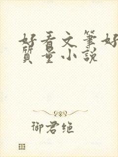 好看文笔好的高质量小说