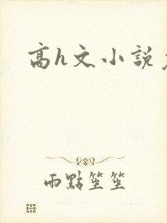 高h文小说免费封面