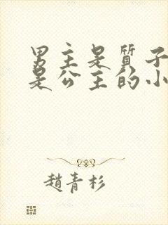 男主是质子女主是公主的小说