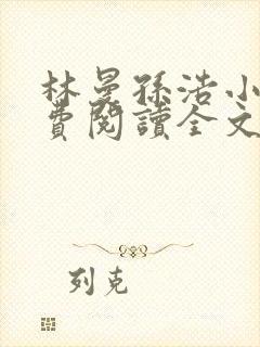 林曼孙浩小说免费阅读全文最新章节